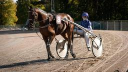 Alexandra (Anne Schäfer) geht mit dem Hengst "Feelgood" ins Rennen.