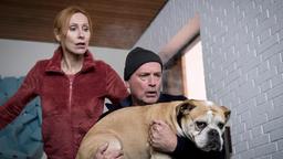 Anja (Andrea Sawatzki) und Christoph (Christian Berkel) retten ihren Hund Hasso aus dem brennenden Haus.
