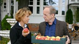 Astrid (Gaby Dohm) ahnt nicht, dass ihr Ex-Mann Uwe (Rüdiger Vogler) eifersüchtig auf ihren neuen Freund ist.