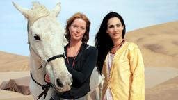 Auf Bitten ihrer Freundin Reissa (Asli Bayram) ist Sina (Esther Schweins) nach Dubai gereist.