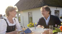 Bei einer deftigen Aalsuppe macht der charmante Fischhändler Hannes (Götz George) "seiner" Rosa (Christiane Hörbiger) schöne Augen.