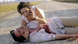 Beim Raub ihres Autos ist Stefan (Bernhard Schir) angeschossen worden und schwer verletzt, Miriam (Julia Stemberger) ruft Hilfe.