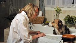 Beth (Diane Keaton) kümmert sich liebevoll um ihren neuen Hund namens Freeway.