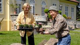 Hilde und Theo beim Arbeiten im Garten.