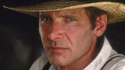 Chefermittler John Book (Harrison Ford) muss untertauchen.