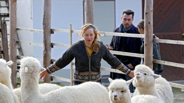 Bild: ARD Degeto/Allegro Film/Stefan Haring Chefermittler Sascha Bergmann (Hary Prinz) verdächtigt die Alpakazüchterin Lotte (Brigitte Hobmeier).
