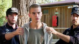 David (Luis Pintsch) mittendrin bei einer Rauferei im Camp für straffällig gewordene Jugendliche.
