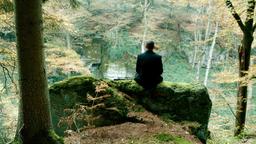 Der Anblick eines Wolfes hat Urs Blank (Moritz Bleibtreu) dazu bewogen, in den Wald zu gehen. Findet seine verletzte Seele hier Erleichterung?