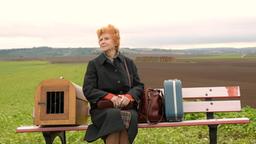 Nichts wie weg: Hermine Blücher (Irm Hermann) wartet auf den Bus, um Monreal für immer zu verlassen.