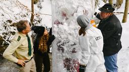 Der Eisblock macht die Untersuchung der Leiche zu einer Herausforderung. V.l.n.r. Hubert (Christian Tramitz), Lena Winter (Klara Deutschmann), Dr. Caroline Fuchs (Susu Padotzke), Bauer (Peter Rappenglück)