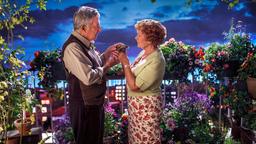 Der introvertierte Junggeselle Mr. Hoppy (Dustin Hoffman) verzehrt sich in stiller Leidenschaft für seine umtriebige Nachbarin Miss Silver (Judi Dench).