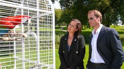 Der lässige Felix (Markus Knüfken) ahnt nicht, dass er in Wahrheit nicht Luisa, sondern ihrer Schwester Jenny (Jule Ronstedt) den Hof macht.