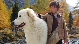 Der Pyrenäenhund Belle beschützt seinen Freund Sebastian (Félix Bossuet).