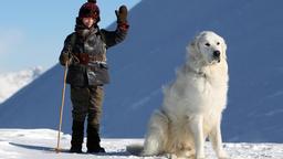 Der siebenjährige Waisenjunge Sebastian (Félix Bossuet) hat in dem Pyrenäenhund Belle einen treuen Freund gefunden.