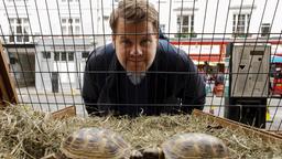 Der Tierhändler (Geoff McGivern) verkauft in letzter Zeit viele Schildkröten.