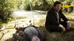 Detective Mike Shepherd (Neill Rea) kommt mit dem Auftrag nach Brokenwood, den Tod des Farmers Nate Dunn (Chris Sherwood) aufzuklären.