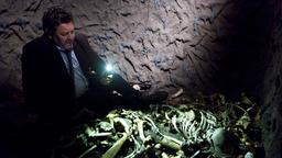In der Nähe des Museumsdorfes macht Shepherd einen überraschenden Fund. In einer verschlossenen Sickergrube liegt das Skelett des Vermissten. Bei der Aktion bricht sich der Ermittler jedoch das Bein und Kristin Sims darf erstmalig die Leitung der miteinander verbundenen Mordfälle übernehmen.