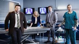 Detective Shepherd (Neill Rea) und sein Team Kristin Sims (Fern Sutherland) und D. C. Breen (Nic Sampson) klären mit Hilfe der Pathologin Gina (Cristina Ionda) einen raffiniert als Unfall getarnten Mord unter Fallschirmspringern auf.