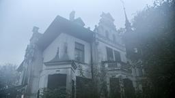 Die Escape-Games Firma sitzt in der alten Villa.