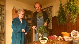 Die Oma (Enzi Fuchs) schaut dem Eberhofer-Vater (Eisi Gulp) beim Verarbeiten seiner Marihuana-Pflanzen zu.