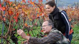 Die talentierte Winzerin Anne (Henriette Richter-Röhl) will in die Fußstapfen ihres Vaters Albert (Hartmut Volle) treten.