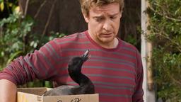 Doug (Rhys Darby) kann die verletzte und flugunfähige Ente nicht einfach ihrem Schicksal überlassen, doch egal, welche Anstrengungen er unternimmt: niemand will ihm die Verantwortung für das angeschlagene Federvieh abnehmen.