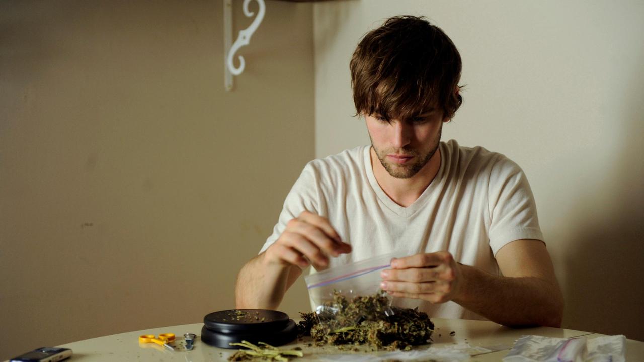 Drogendealer White Mike (Chace Crawford) versorgt seine Upper-Class-Freunde mit Stoff.