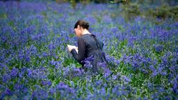 Ein Brief ihres Geliebten versetzt Fanny Brawne (Abbie Cornish) in eine ganz andere Welt.