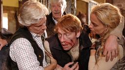 Eric (Philipp Brenninkmeyer, li.), John Hamilton (Volkert Kraeft) und seine Schwiegertochter Jane (Catherine Flemming) helfen dem Tierpfleger Edward (Jürg Plüss), der von einem Pferd attackiert wurde.
