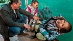 Florian (Hardy Krüger j) amüsiert sich mit seinen Töchtern Sophie (Hanna Höppner, Mitte) und Anna (Monique Schröder) im Zoo.