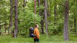 Aus einem wilden Wald in den Vogesen kommend, prallt die einsamkeitsliebende Jana, die sich mit Menschen eher schwertut, auf den Großstadtwald und seine „Berliner Besonderheiten“. 