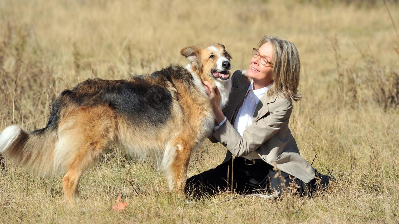 Für Beth (Diane Keaton) wird ihr Hund Freeway zu einem treuen und ständigen Begleiter.