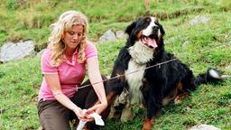 Hanna (Eva Habermann) versorgt den Hund "Don Giovanni", der sich an einem Stacheldrahtzaun verletzt hat.