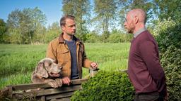 Hauke (Hinnerk Schönemann mit Hund Holly) verdächtigt Bent Fehrenkamp (Rainer Sellien).