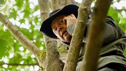 Heiner (Moritz Führmann) versteckt sich auf einem Baum