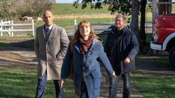 Heinrich (Heiner Lauterbach), Ella (Svenja Jung) und Tom (Uwe Ochsenknecht, re.) kommen auf der Insel Neuhever an.