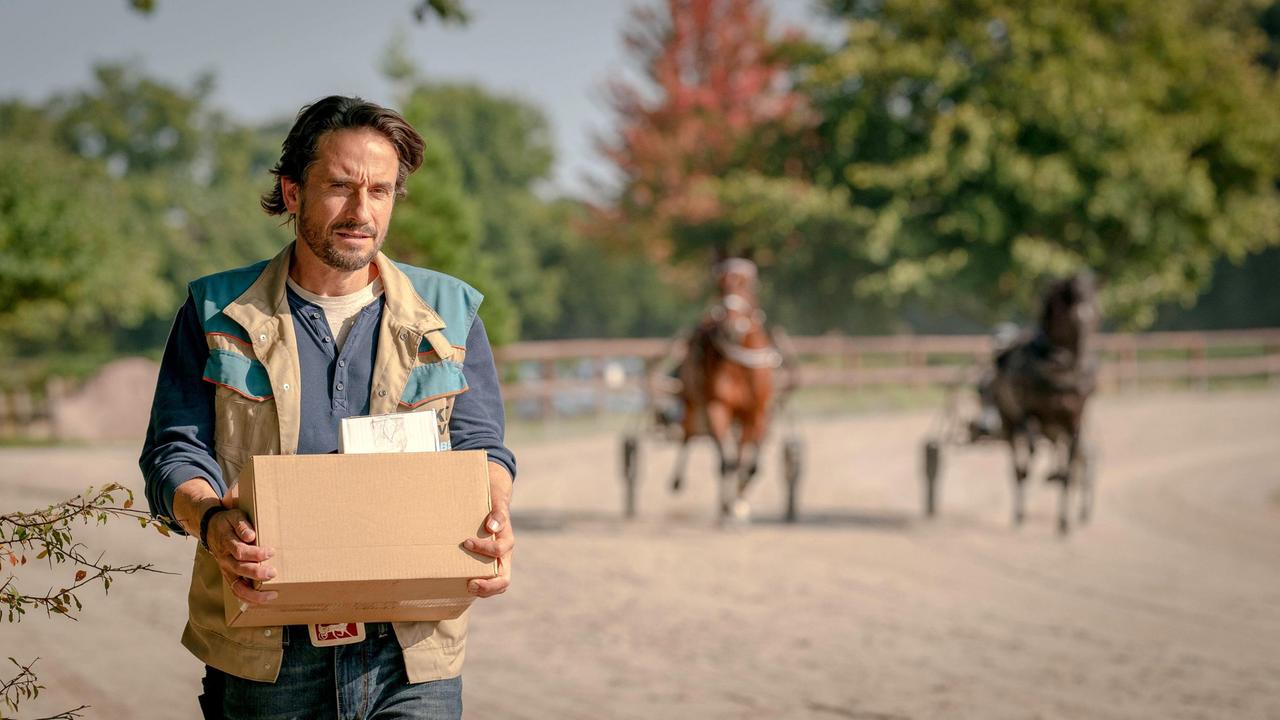 Henrys (Oliver Mommsen) Job verschlägt ihn auf die Trabrennbahn