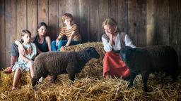 DREI VÄTER SIND BESSER ALS KEINER: Maike (Julia Hartmann) mit ihren Kindern Jasper (Sammy Cairns) und Luise (Mia Petersen Schwertfeger) sowie Oma Inge (Suzanne von Borsody, re.).