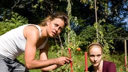 In ihrer spärlichen Freizeit hilft Jo (Jeanette Hain, re.) ihrer Freundin Vera (Susanne Wolff) bei der Gartenarbeit.