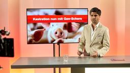 Kilian Armelt (Maximilian Grill) moderiert das reichweitenstärkste Boulevardmagazin Berlins.
