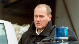 Kommissar Beck (Peter Haber) 