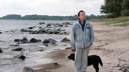 Kommissar Wallander (Krister Henriksson) geht mit seinem Hund spazieren.