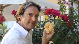 Andreas (Helmut Zierl) 