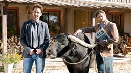 Max (Marc Benjamin) und Konrad (Sebastian Fritz) brauchen zusätzliches Weideland. Um das zu bekommen, haben sie ein Konzept für die Vermarktung der Alb und ihrer Büffel entwickelt.