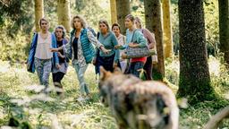 Michi (Michaela May) und die Damen begegnen dem Wolf.