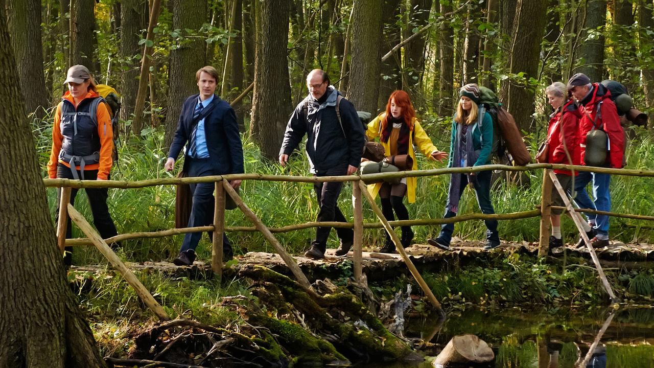 Mit Burnout durch den Wald: Die Burnout-Therapiegruppe