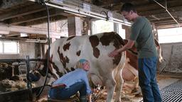 Mit Freude beobachtet Karl (Timothy Peach), welchen Spaß die Städterin Elisabeth (Claudine Wilde) bei der Bauernhof-Arbeit hat.
