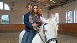 Nach dem Tod ihres Lieblingspferdes wollte Andrea (Christina Plate) nie mehr reiten, doch Hans (Sven Martinek) gewöhnt sie wieder an Pferde.