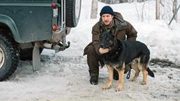 Polizeihundeführer Krister (Jakob Öhrman) unterstützt Rebecca.
