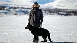 Rebecka Martinsson (Ida Engvoll) bleibt für den Winter in ihrer nordschwedischen Heimat.